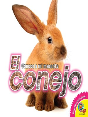 cover image of El conejo
